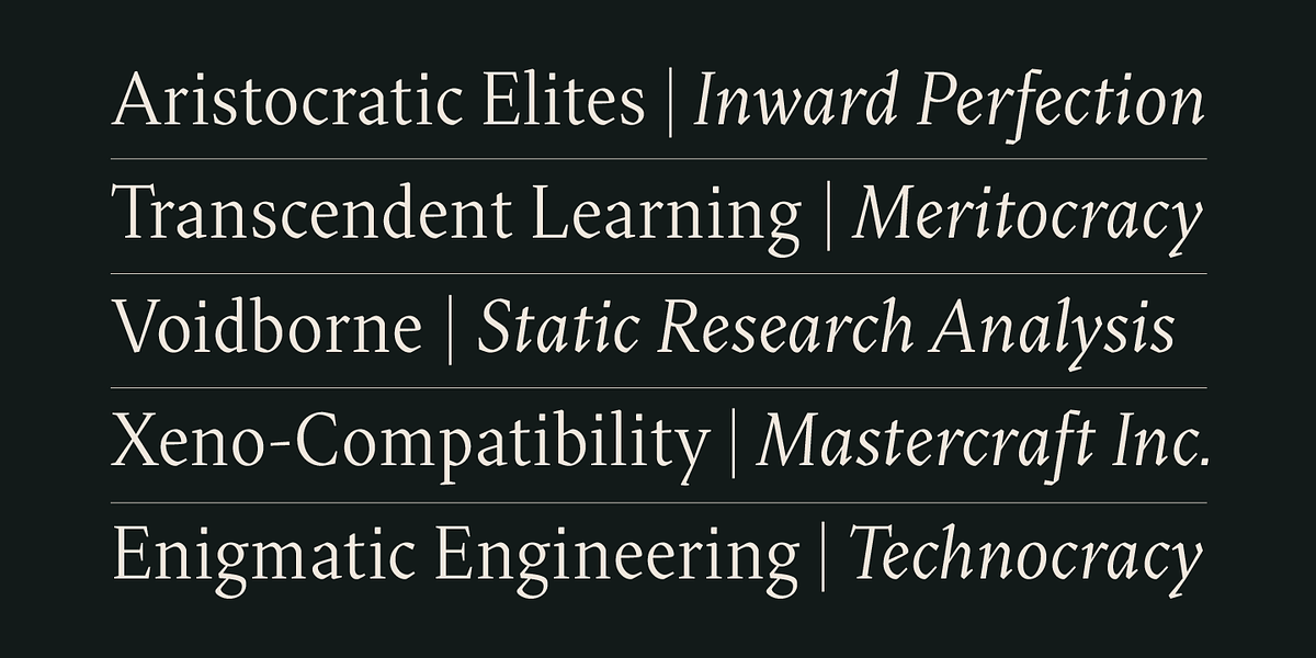 Blizka, a Serif Font by YXType (Photo 2 of 13)