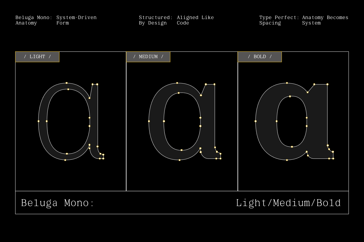 GC Beluga Mono - Elegant Modern Mono, a Serif Font by Glyphonic (Photo 5 of 15)