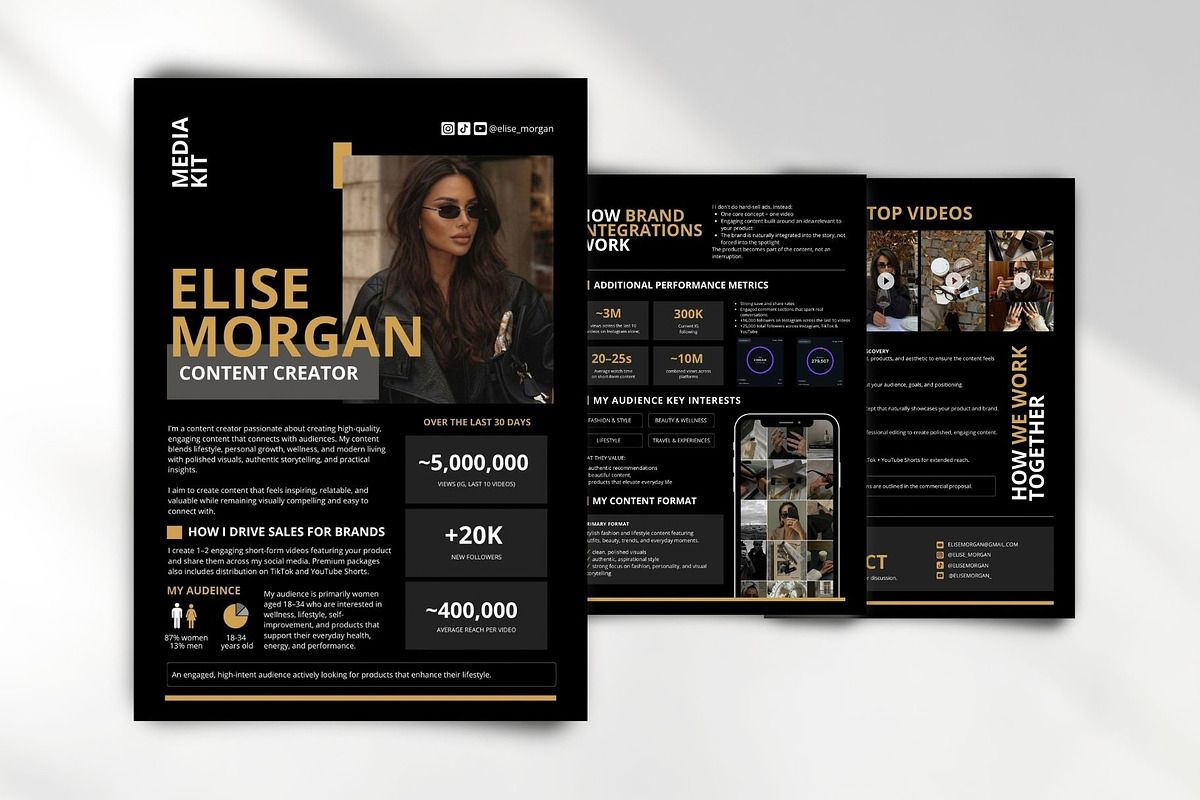 Premium Media Kit Template Canva, a Marketing Template by Business Chic (Photo 3 of 6)