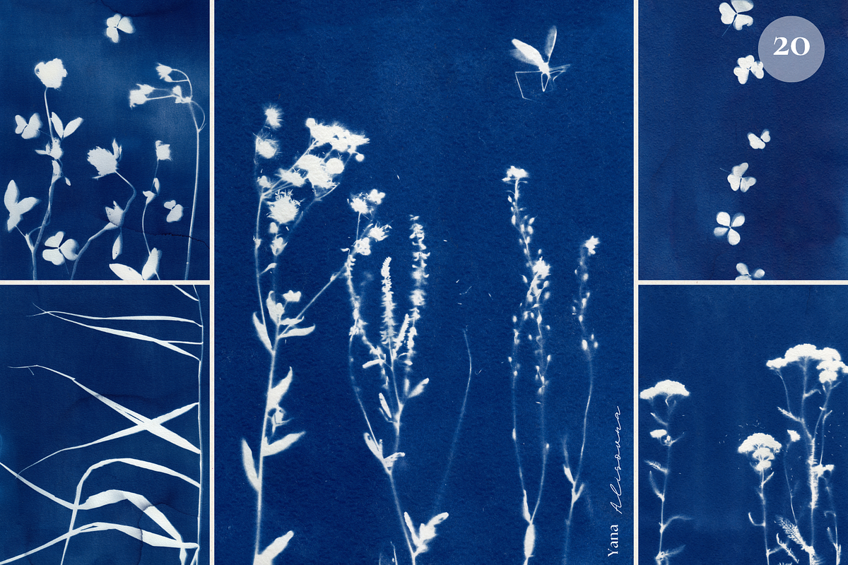 CYANOTYPE Botanical Backgrounds, a Background Graphic by Alisovna (Photo 6 of 15)