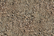 6 HD Seamless Dirt Textures, a Texture Graphic by Predrag Dimitrijevic (Thumbnail 6 of 7)