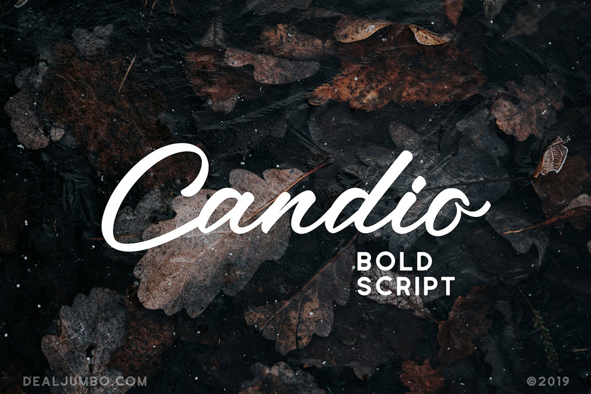 SALE 49 Script Fonts Bundle, a Script Font by Deeezy (Photo 9 of 51)