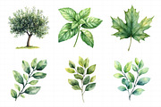 Green Trees and Leaves Clipart, an Illustration by Daily.Designs (Thumbnail 4 of 8)