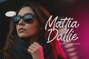 Holtemia Script – Brush Script font, a Script Font by MEANDSTUDIO (Thumbnail 2 of 9)