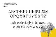 Rafailla - Display Serif Font, a Serif Font by Favo Write (Thumbnail 8 of 13)