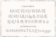 Rosemarie Dainty Serif, a Serif Font by Rachel Kick (Thumbnail 12 of 12)