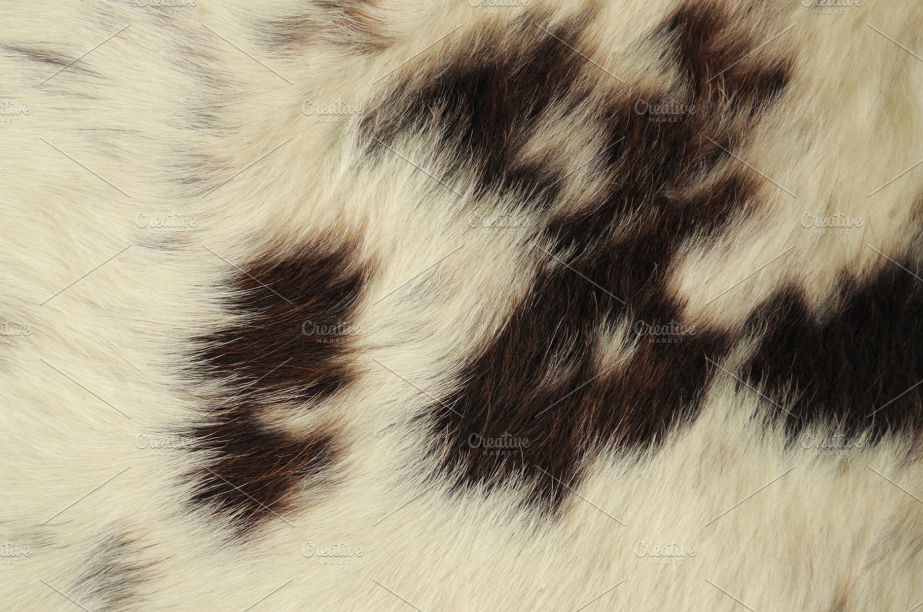 Animal print background stock photo containing abstract and animal, an Abstract Photo by MashaCvijanovic