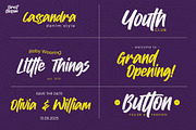 Forrest Blossom – Quick Brush Font, a Handwritten Font by Gassstype (Thumbnail 8 of 8)