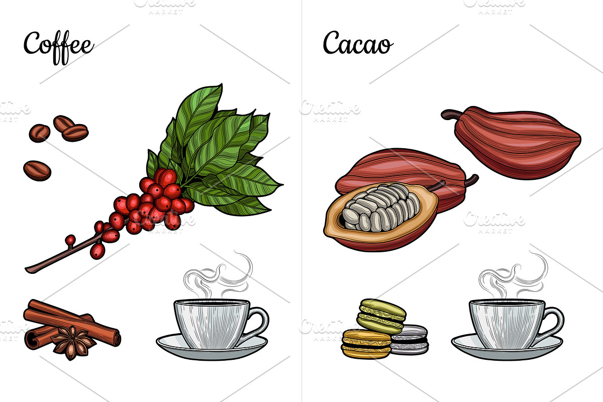 Coffee, cacao, tea., an Object Graphic by VitalinaGofman (Photo 4 of 11)