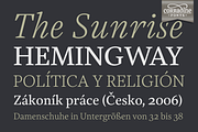 Austera Text Essential #2, a Serif Font by Corradine Fonts (Thumbnail 11 of 14)
