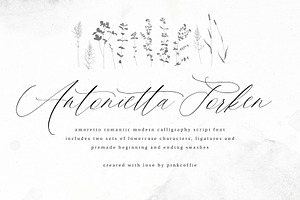 Amoretto Modern Calligraphy Script