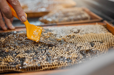 Honey, frame and closeup of scrape tools for bee farming, agriculture or food in beekeeping production. Beekeeper, honeycomb and apiculture worker with uncapping fork, natural product or work at farm, a Photo by Peopleimages.com