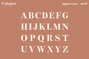 Calypso // A Modern Font Duo, a Serif Font by Megs Lang (Thumbnail 9 of 18)