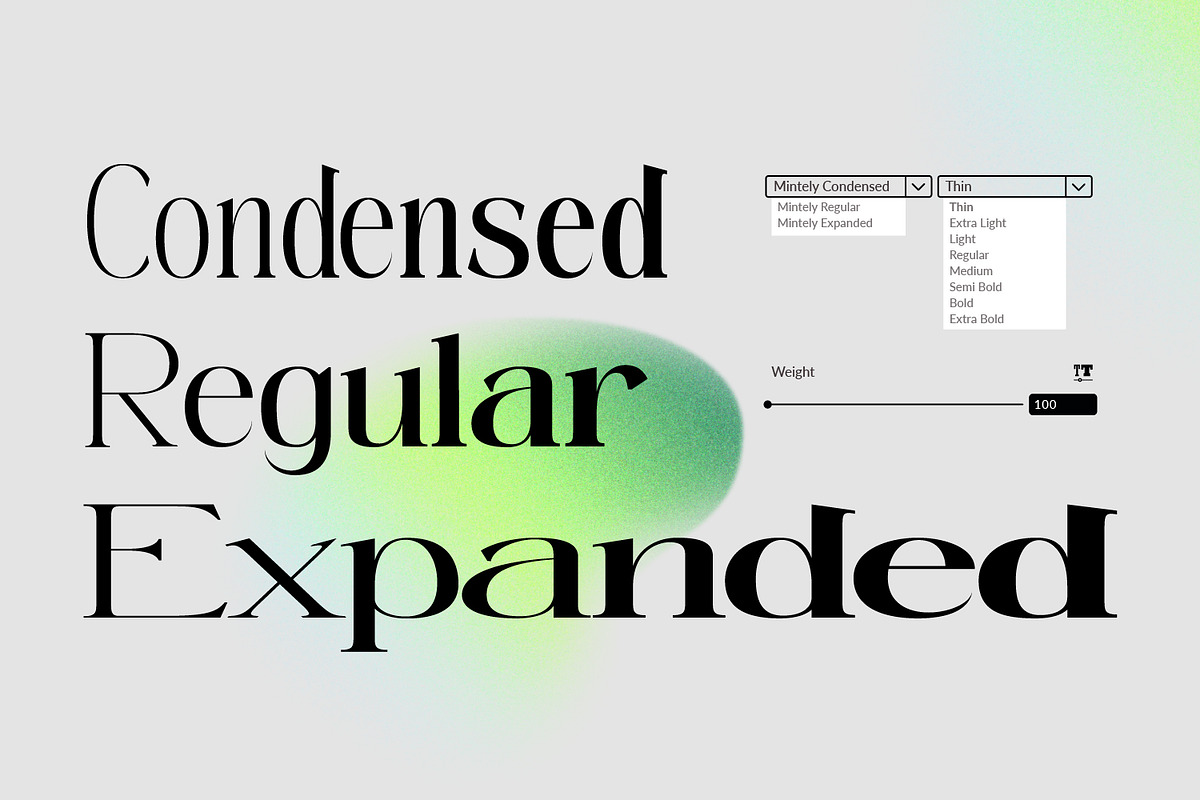 Mintely, a Serif Font by din-studio.com (Photo 9 of 12)
