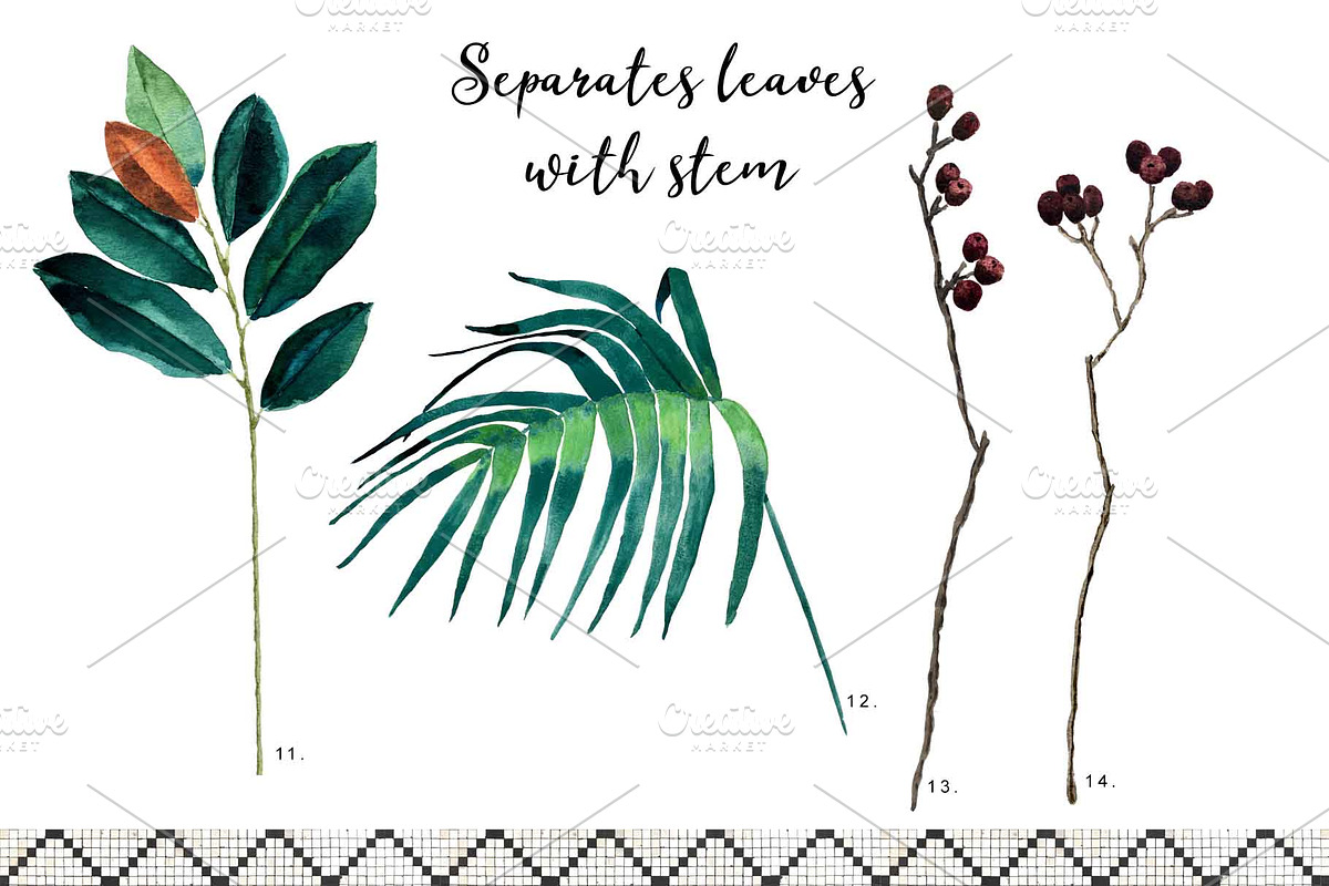 Tropical leaves old pharmacy bottles, an Illustration by marie dricot (Photo 10 of 12)