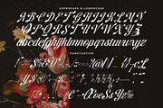 Brellight Elegant Script Font, a Script Font by timelesstype.co (Thumbnail 18 of 20)