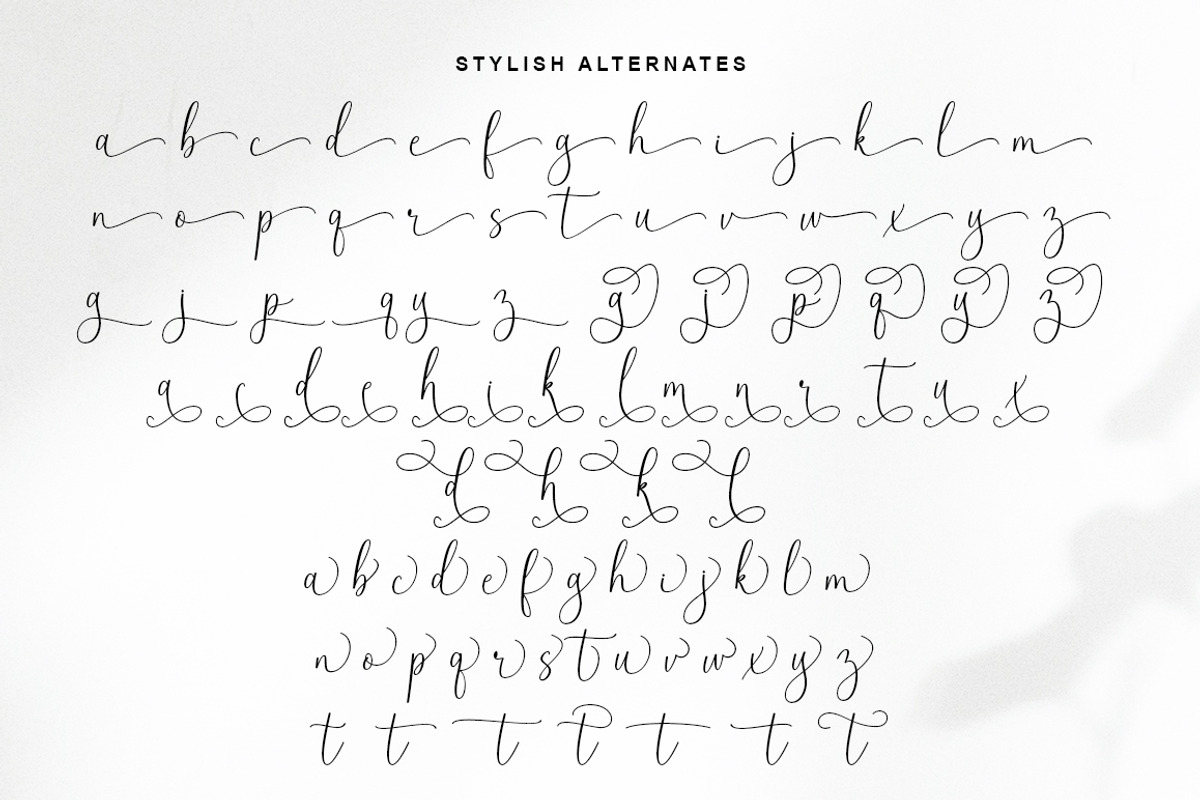 Blooming Garden, a Script Font by Rotterlab Studio (Photo 14 of 16)