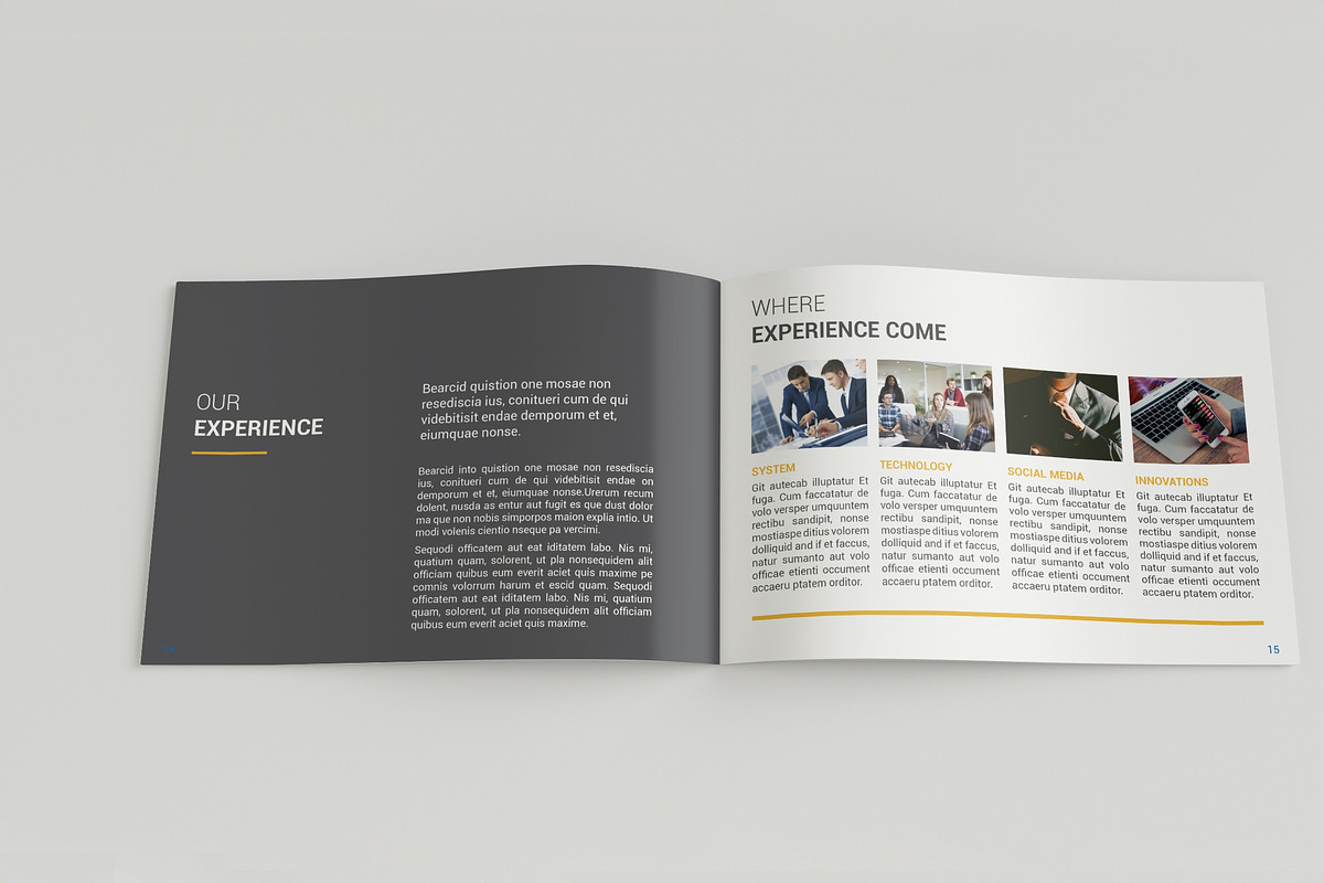 A5 Professional Brochure, a Brochure Template by BoriesBechker (Photo 9 of 11)