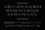 Aestica – Elegant Stylish Serif Font, a Serif Font by kangfont Studio (Thumbnail 4 of 10)