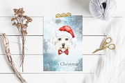 Christmas Character Dogs & Cats, an Animal Illustration by Catherine Wheel (Thumbnail 19 of 23)