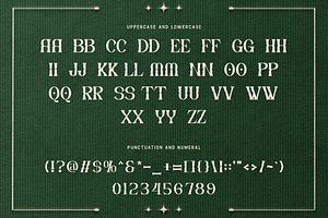 Drivzen-ModernEmbroidery SerifBXFont