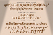 Akidan Hatory - Bold Script Font, a Script Font by StringLabs (Thumbnail 8 of 9)
