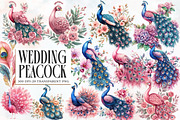 Wedding Peacock Clipart, an Illustration by Designworld (Thumbnail 1 of 5)