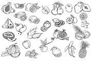 Vector illustration of fruits, an Illustration by risovanya (Thumbnail 3 of 5)