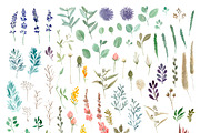 Watercolor hand drawn !BUNDLE!, an Animal Illustration by mikka_kika (Thumbnail 6 of 20)