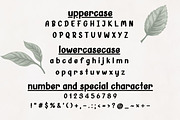 BROWN FOX - Handwritting, a Handwritten Font by Charmingbear59.design (Thumbnail 5 of 5)