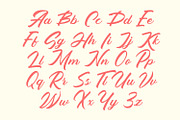 Cryolite - Brush Script Font, a Script Font by Arendxstudio (Thumbnail 4 of 11)