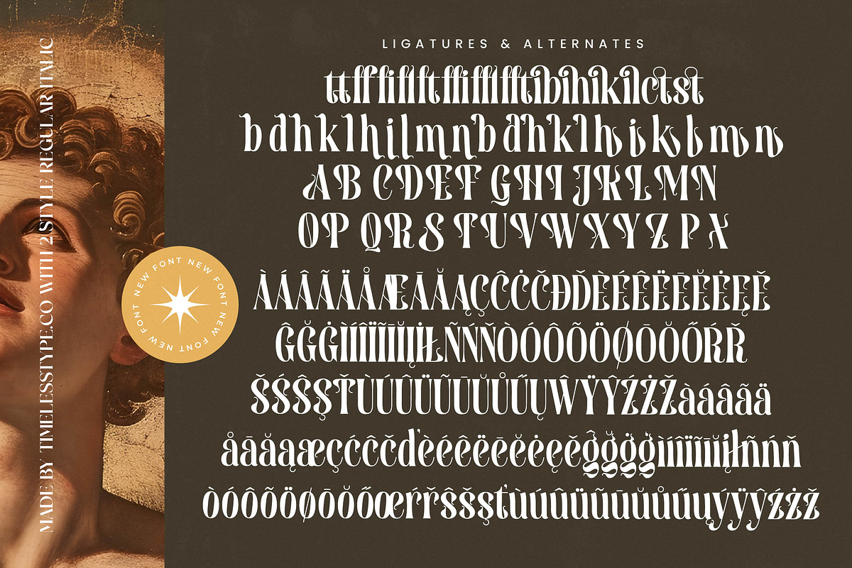 Biblonk Matter Elegant Serif, a Serif Font by timelesstype.co (Photo 18 of 19)