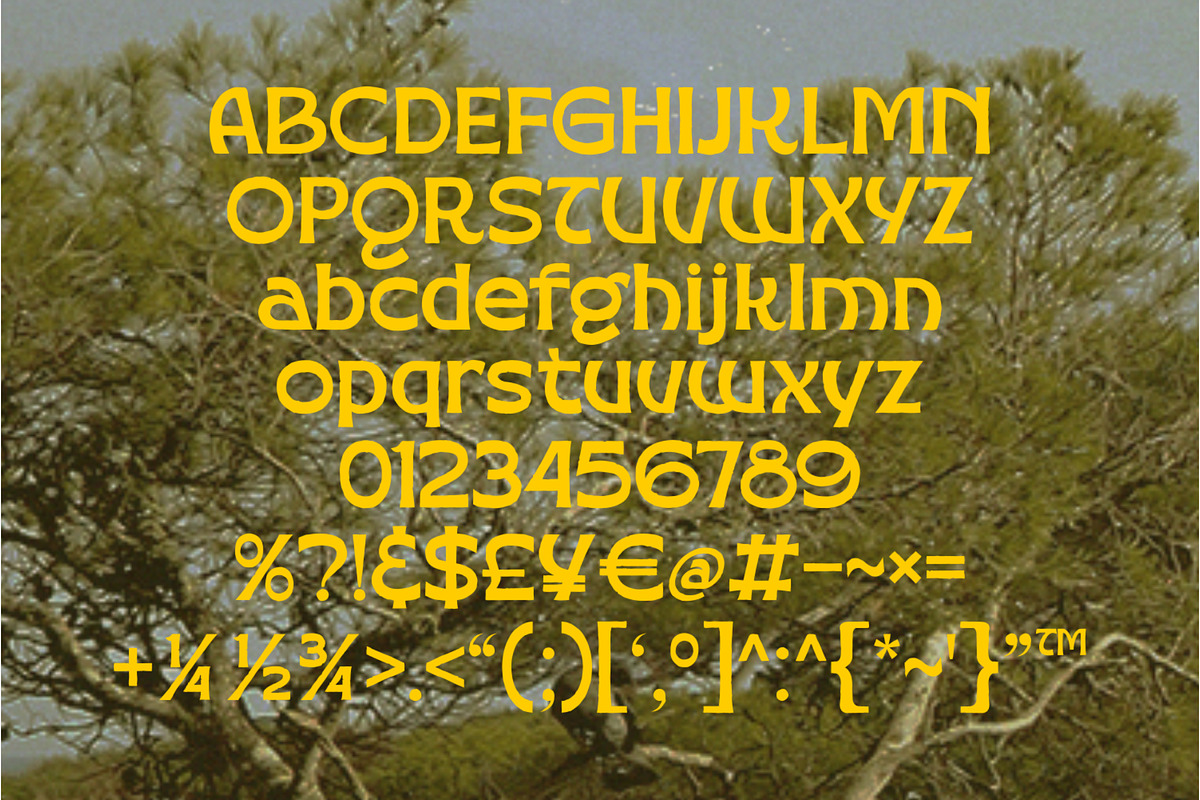 Golden Vogue – Display Font, a Sans Serif Font by kangfont Studio (Photo 4 of 11)