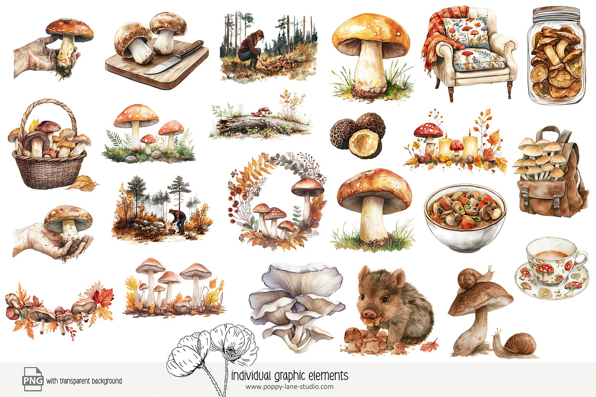 100 autumn mushroom clip art, a Seasonal Illustration by Poppy Lane Studio (Photo 10 of 11)