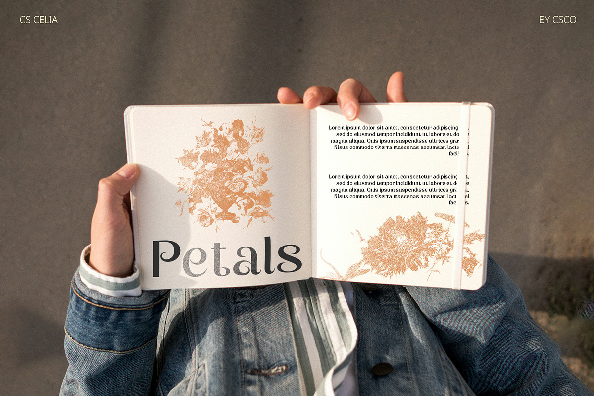 CS Celia – Art Nouveau Font, a Sans Serif Font by Craft Supply Co. (Photo 6 of 8)