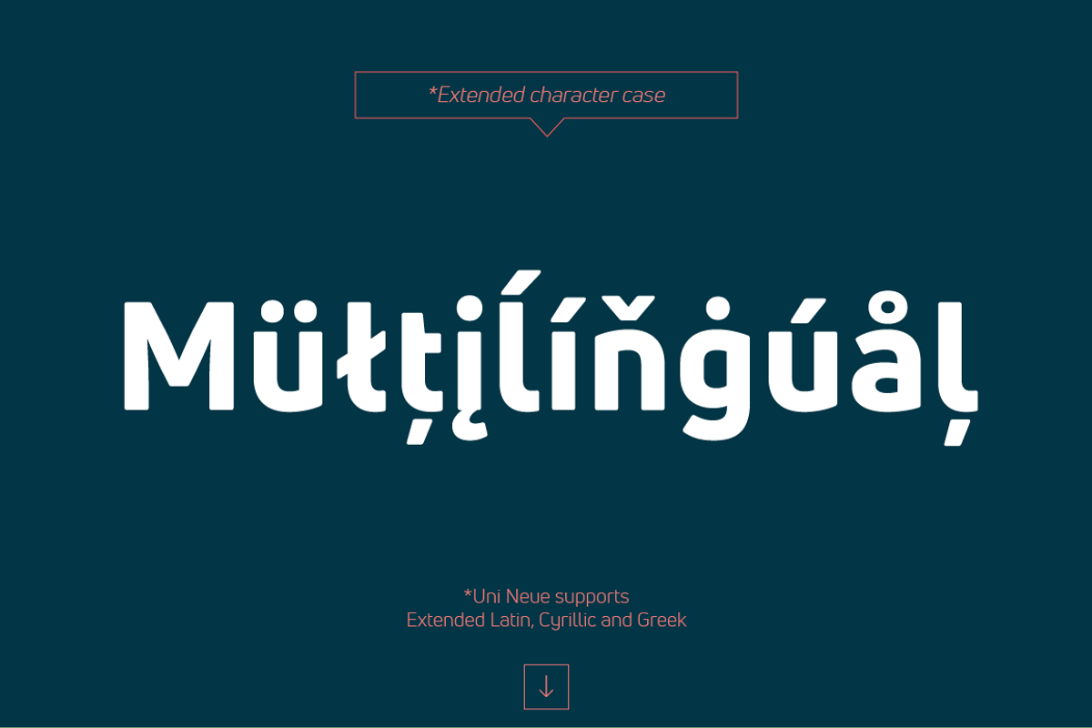 Uni Neue Font Family preview 4