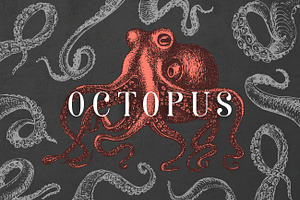 Octopus Vintage Collection