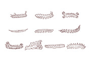 Breeds Caterpillar Handdrawn Vol 2, an Animal Illustration by SLAB! Design (Thumbnail 2 of 3)