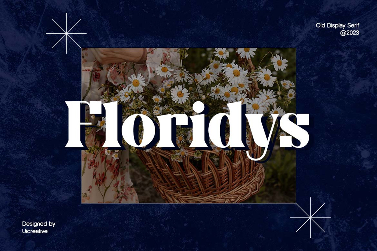 Obligately Old Display Serif Font, a Serif Font by UICreative (Photo 3 of 13)