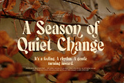 Annutte Elegant Serif Display Font, a Serif Font by Elegant Font (Thumbnail 2 of 8)