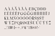 Analogist, a Serif Font by Gatype (Thumbnail 8 of 9)