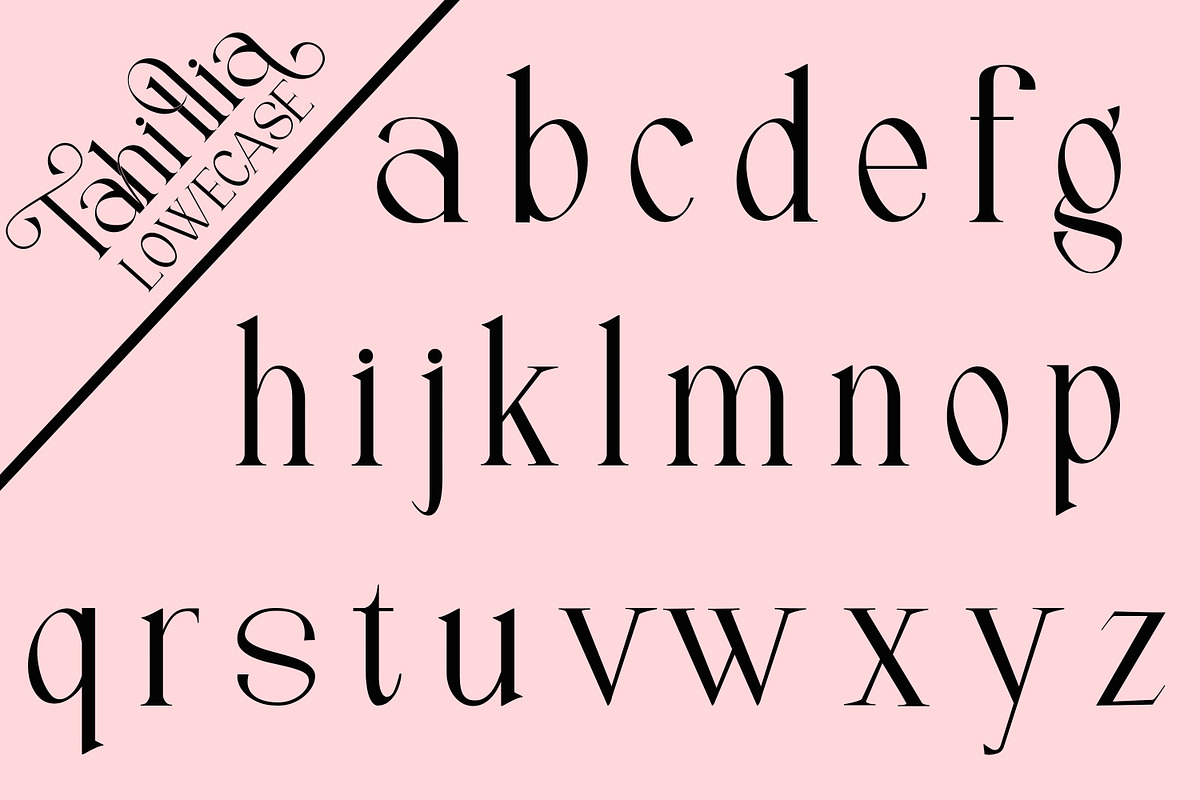 Tahillia, a Serif Font by Canden Meutuah (Photo 8 of 10)