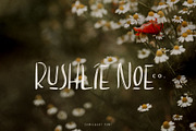 Consequat Font, a Font by Creativeqube Design (Thumbnail 3 of 4)
