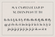 Adagio Decorative Ligature Font Duo, a Sans Serif Font by Studio Aurora (Thumbnail 8 of 12)