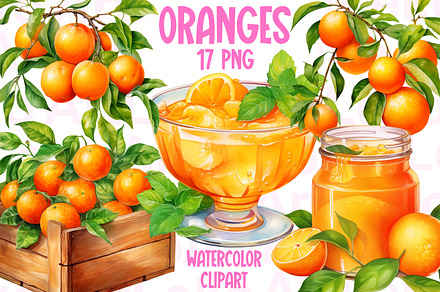 Oranges Watercolor Clipart