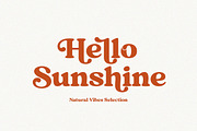 Mint And Sage, a Serif Font by Attract Studio (Thumbnail 17 of 21)