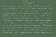 Naturealo | Handwritten Script, a Script Font by Mozyen Studio (Thumbnail 10 of 13)