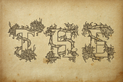 Vintage Floral Monogram, a Font by figuree studio (Thumbnail 2 of 8)