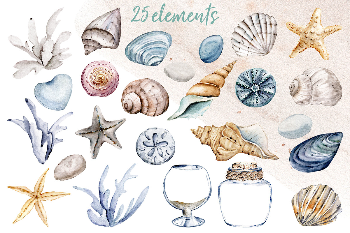 Shells, beach watercolor set., an Illustration by Larisa Maslova (Photo 9 of 13)