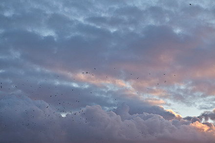 Sunset sky featuring sunset, sky, and clouds
